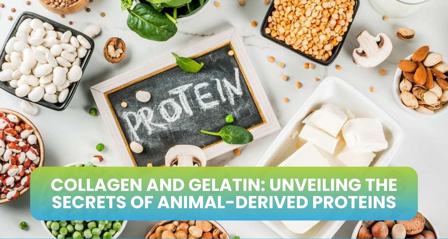 Collagen And Gelatin Unveiling The Secrets Of Animal Derived Proteins collagen-and-gelatin-unveiling-the-secrets-of-animal-derived-proteins