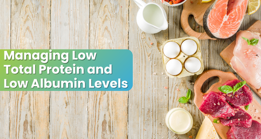 Managing Low Total Protein and Low Albumin Levels