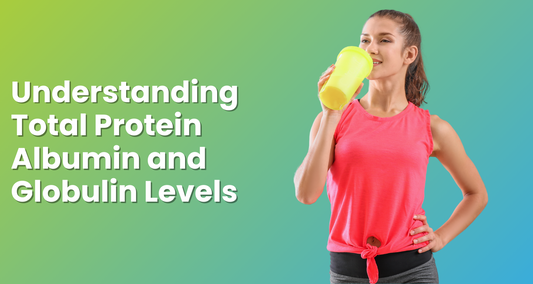 Understanding Total Protein Albumin and Globulin Levels