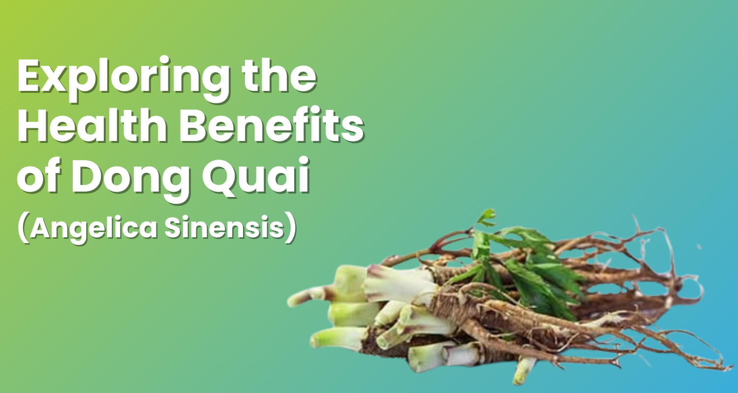 Exploring the Health Benefits of Dong Quai (Angelica Sinensis