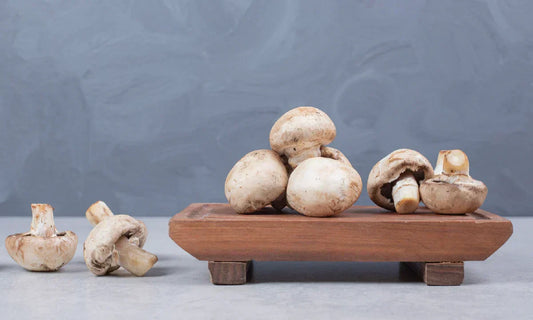 how-long-shrooms-last