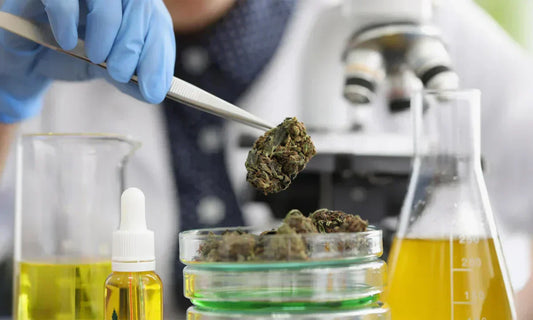 Nicotine Stay In Your System Timeline