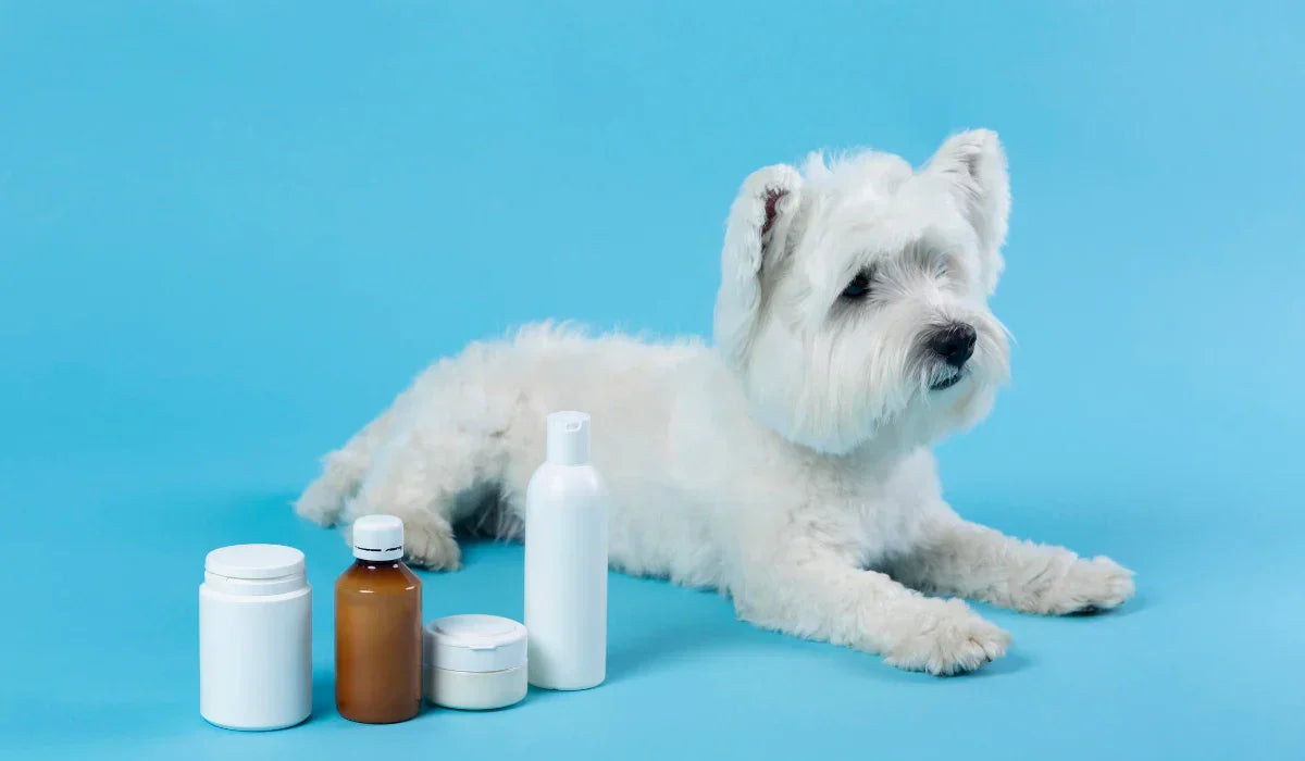 probiotics-for-dogs