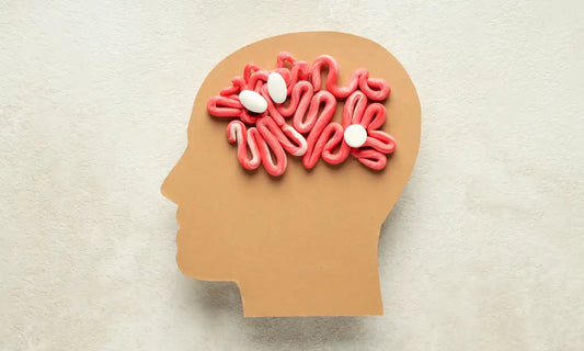 gut-brain-connection