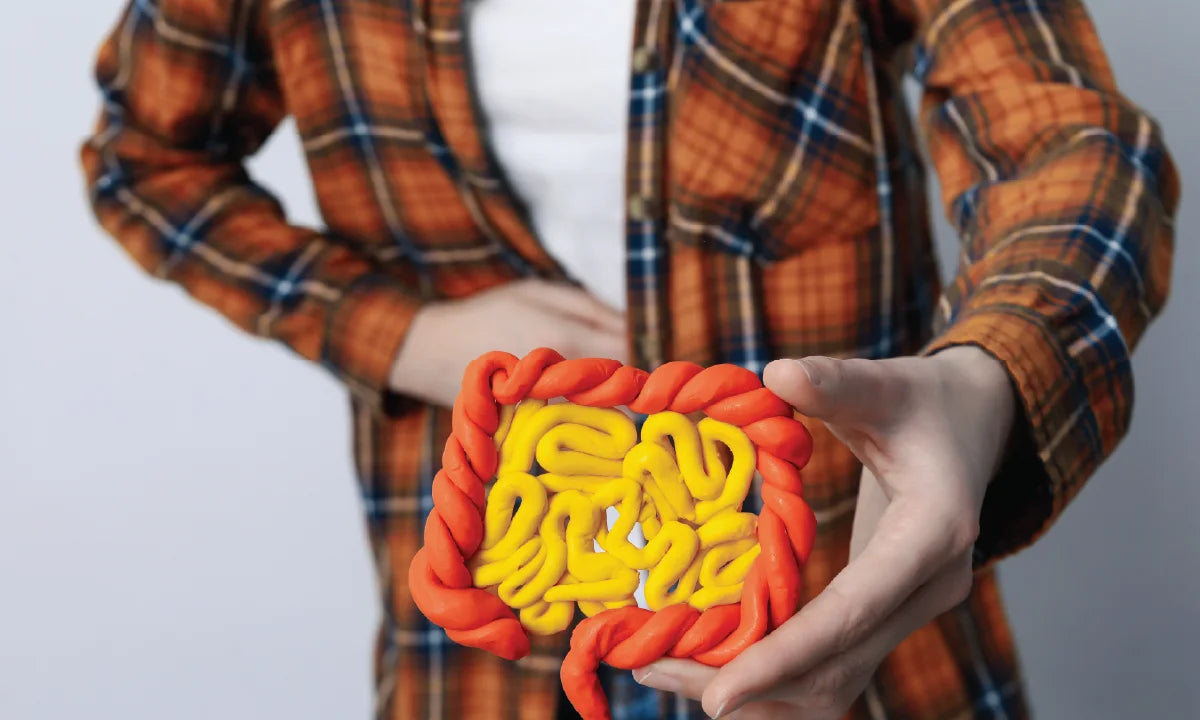Supplements for Leaky Gut: What Works and Why