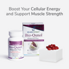 Bio-Qunol Ubiquinol + Geranylgeraniol 150mg – Advanced Cellular Energy & Muscle Support