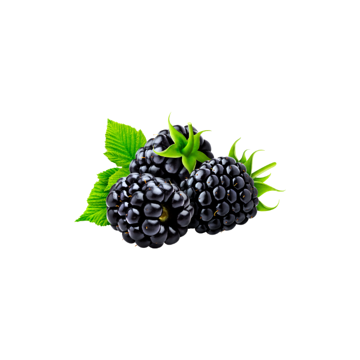 Blackberry
