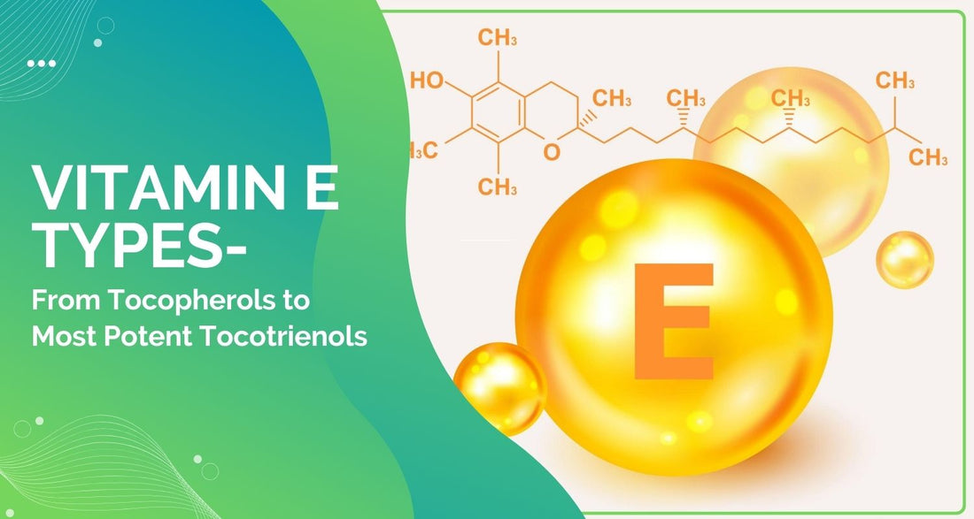 Vitamin E Types – From Tocopherols to Most Potent Tocotrienols