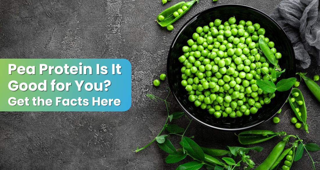 Pea Protein Is It Good for You? Get the Facts Here