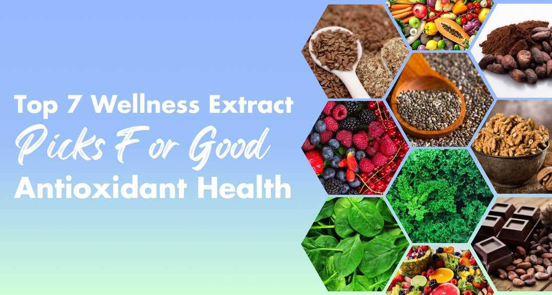 Top 7 Wellness Extract Picks For Good Antioxidant Health