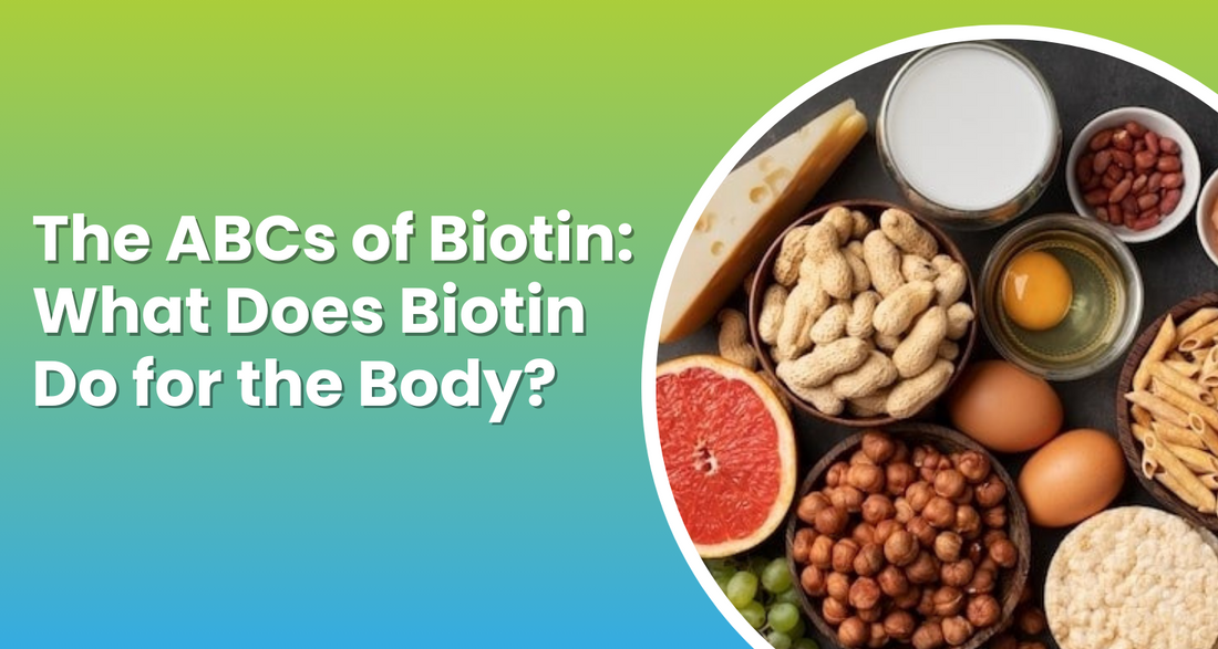 The ABCs of Biotin: What Does Biotin Do for the Body?