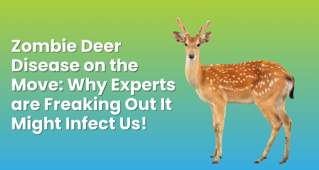 Zombie Deer Disease on the Move: Why Experts are Freaking Out It Might Infect Us!