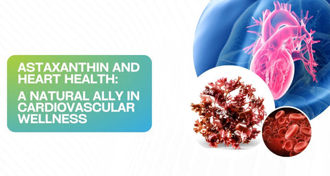 Astaxanthin and Heart Health: A Natural Ally in Cardiovascular Wellness