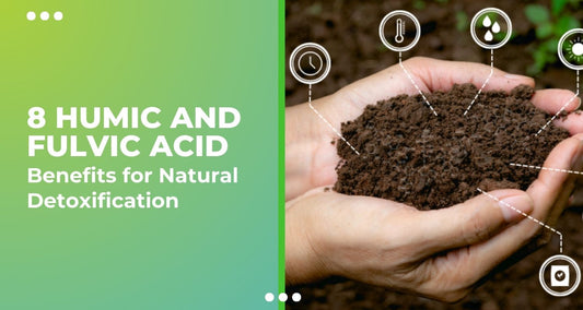 8 Humic and Fulvic Acid Benefits for Natural Detoxification