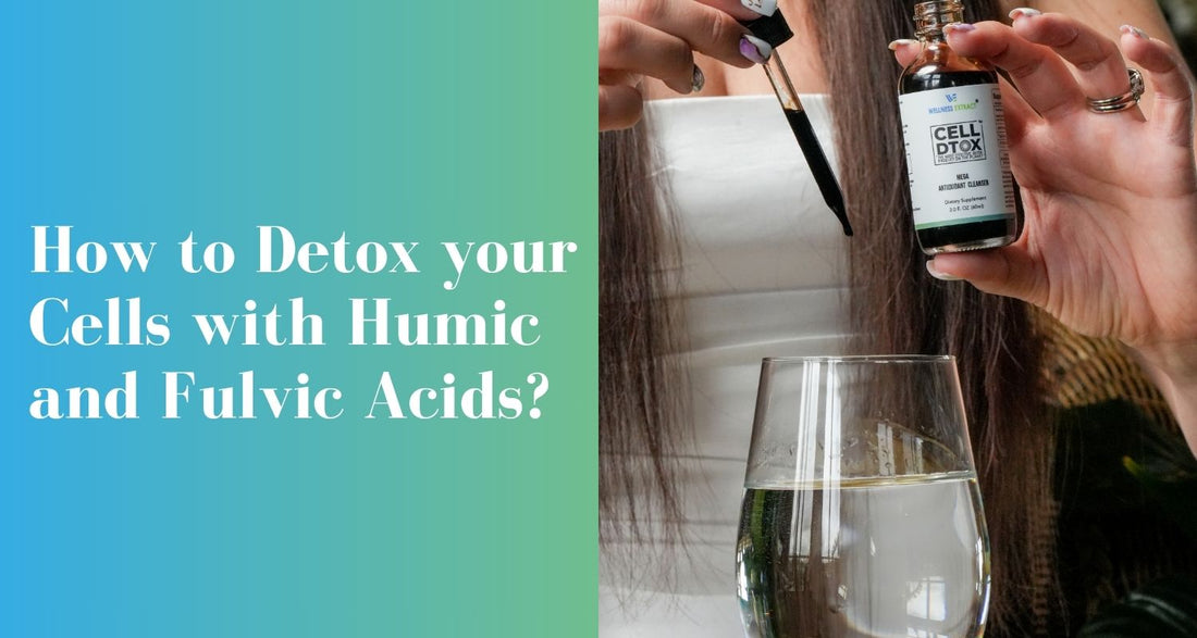 How to Detox your Cells with Humic and Fulvic Acids?