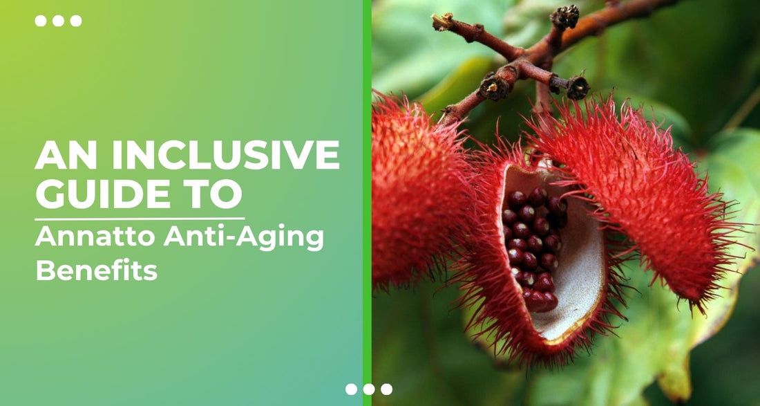 An Inclusive Guide to Annatto Anti-Aging Benefits