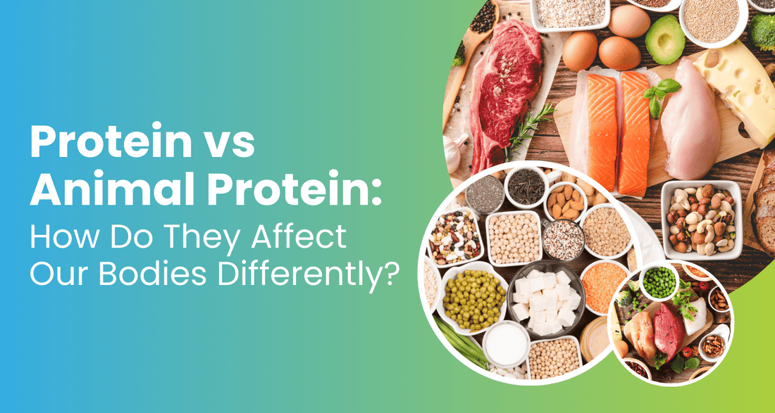 Protein vs Animal Protein: How Do They Affect Our Bodies Differently?