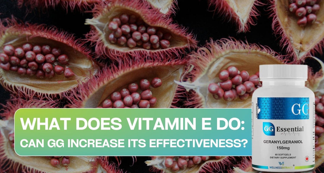 What Does Vitamin E Do: Can GG Increase Its Effectiveness?