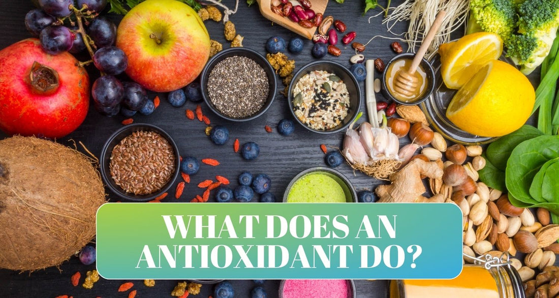 What Does an Antioxidant Do?
