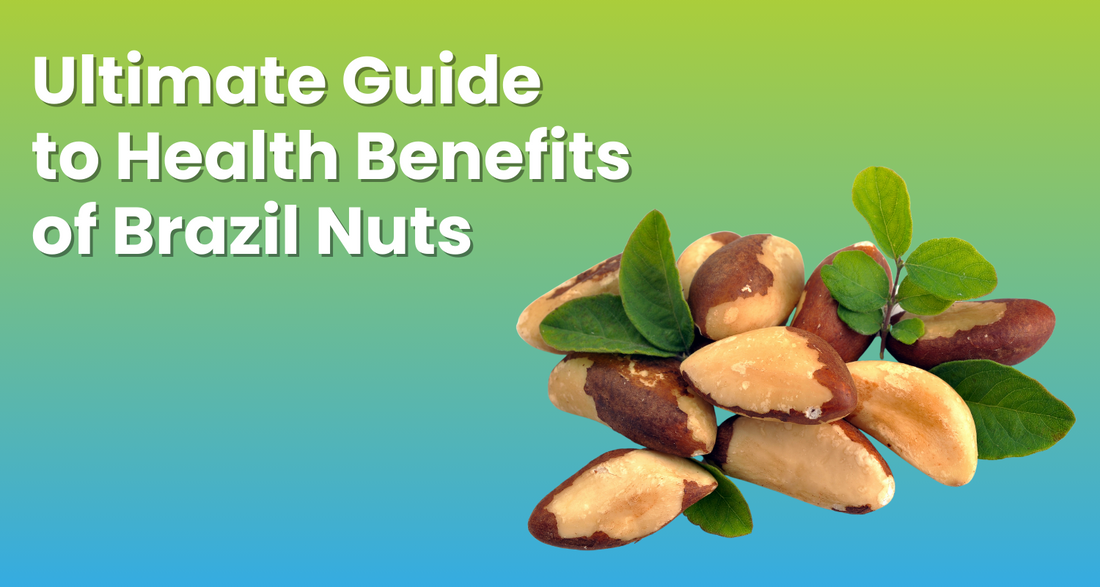 Ultimate Guide to Health Benefits of Brazil Nuts Wellness Extract USA
