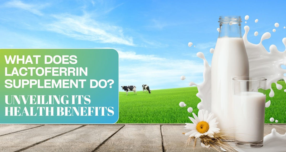 What Does Lactoferrin Supplement Do? Unveiling Its Health Benefits