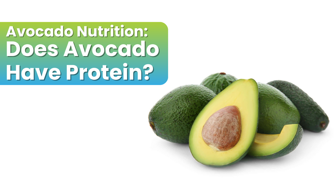 Avocado Nutrition: Does Avocado Have Protein?