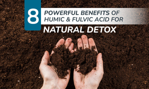 8 Humic and Fulvic Acid Benefits for Natural Detoxification