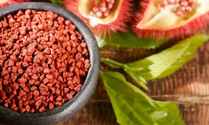 Top 10 Annatto Seed Substitutes