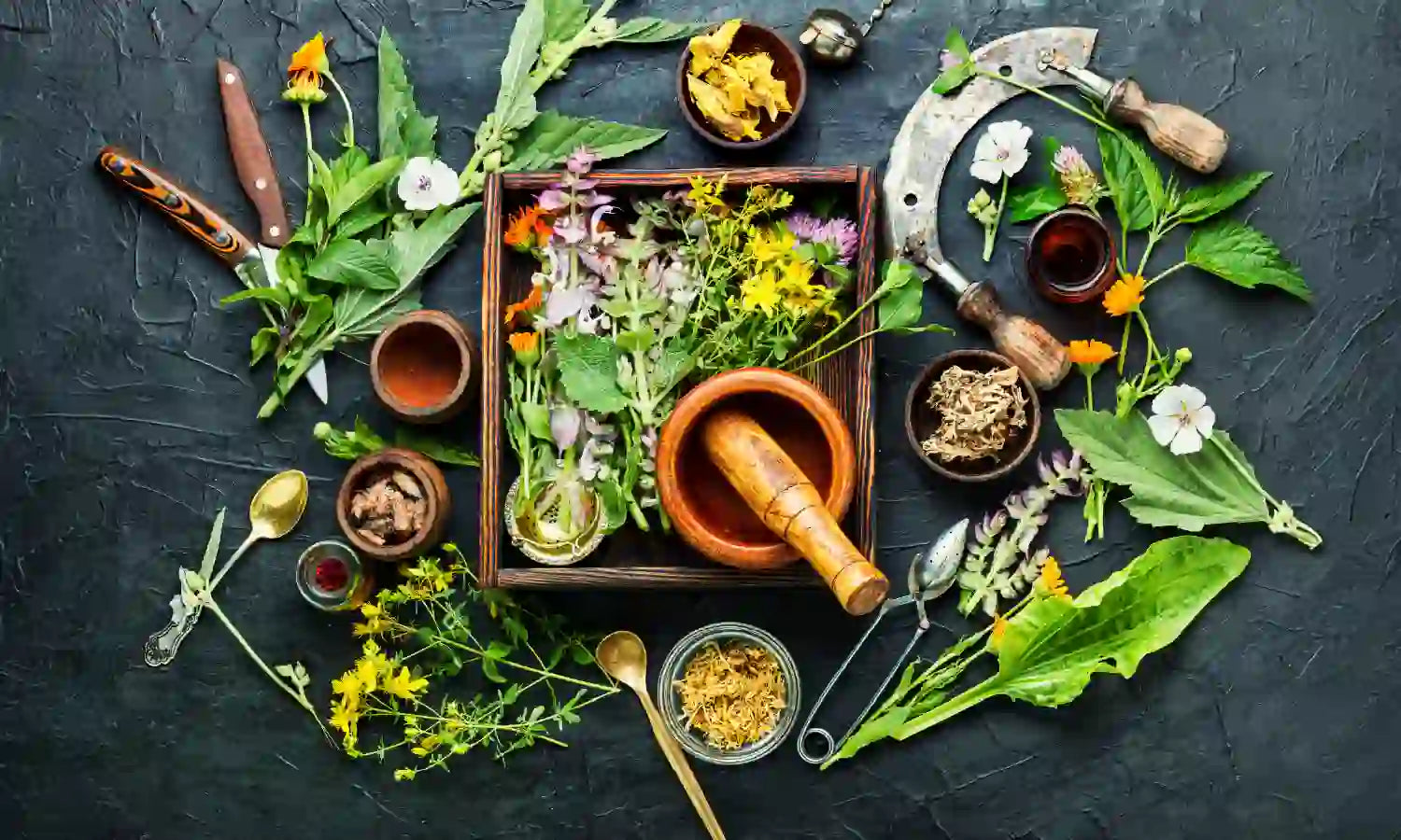 Herbal Detox: Best 11 Herbs & Spices for Detoxification