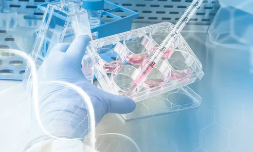 Tocotrienols as Antioxidants: Insights from Clinical Trials