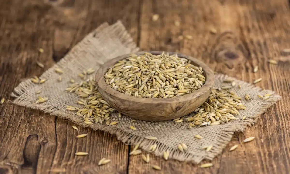 Fennel Seeds for Health: Benefits and Usage Guide