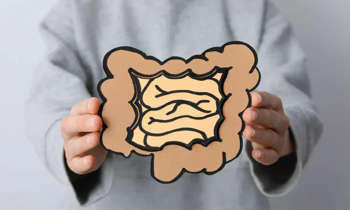 10 Signs Your Gut Health Might Be Out of Balance