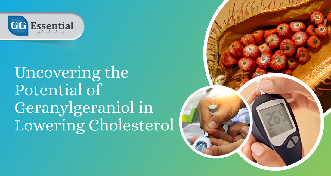 Uncovering the Potential of Geranylgeraniol in Lowering Cholesterol