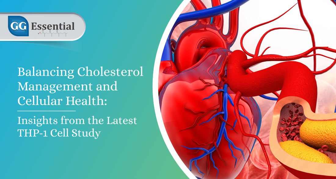 Balancing Cholesterol Management and Cellular Health: Insights from the Latest THP-1 Cell Study