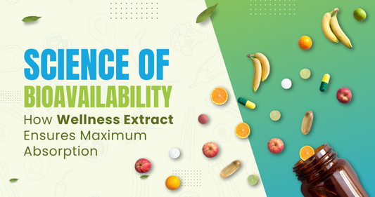Science of Bioavailability: How Wellness Extract Ensures Maximum Absorption