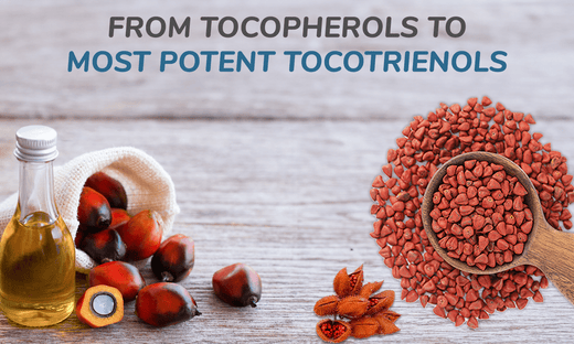 From Tocopherols to the Most Potent Tocotrienols