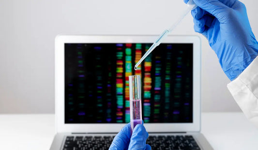 gene-methylation-test