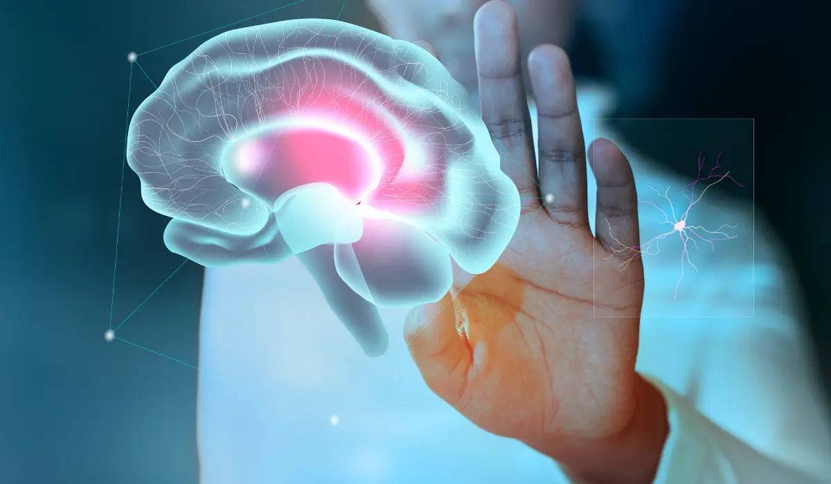 How Do Tocotrienols Support Brain Health?