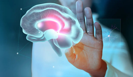 tocotrienols-for-brain