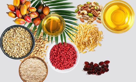 The Complete Guide to Vitamin E Tocotrienols