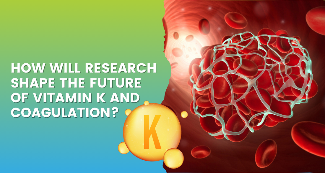 How Will Research Shape the Future of Vitamin K and Coagulation?