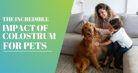 The Incredible Impact of Colostrum for Pets