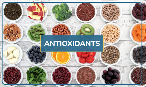 What Does an Antioxidant Do?