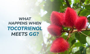 Why Tocotrienol and Geranylgeraniol Are a Match Made in Wellness Heaven