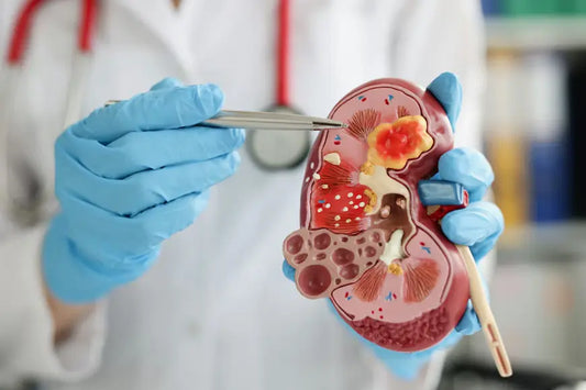 CoQ10 for Chronic Kidney Disease: Evidence, Benefits, and Dosage Explained