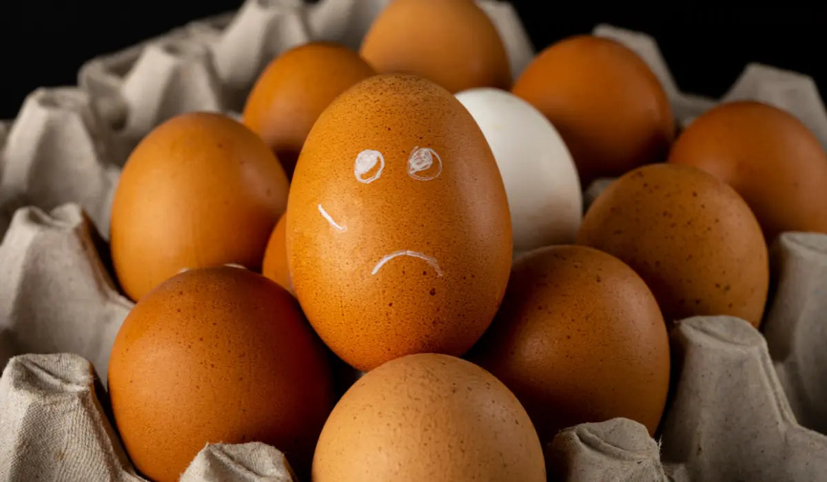 How to Tell If Your Eggs Are Bad: Easy Tests You Can Do at Home