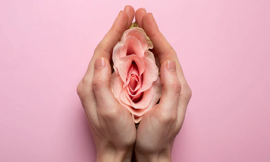 female_sex_hormones