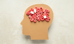 The Gut-Brain Connection: How Your Digestive Health Impacts Mental Wellness