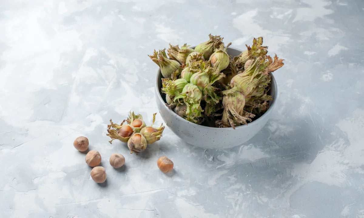 Horny Goat Weed: How Long Until You Feel the Effects?