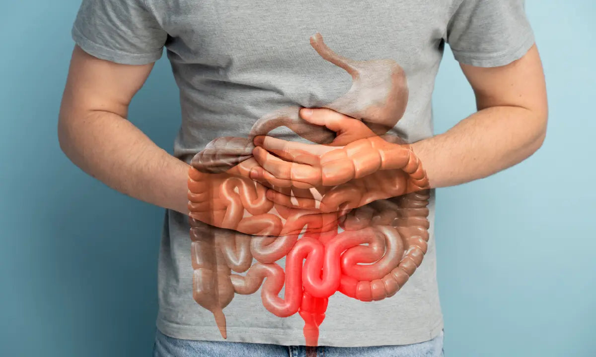 Is Your Gut Unhealthy? 10 Symptoms to Watch for And How to Heal